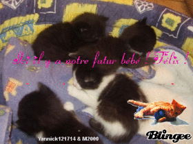 Notre futur B�b�