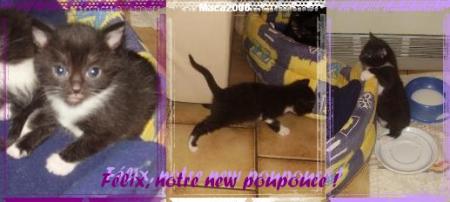 Felix, bient�t � la maison !