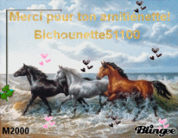 Pour Bichounette51100