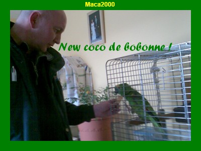 New coco