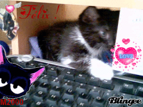 F�lix fait d�j� des b�tises!