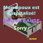 Blog en pause!