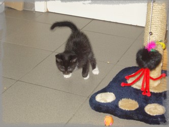 F�lix est chez lui!