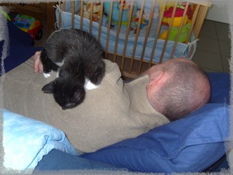 Le repos des guerriers !