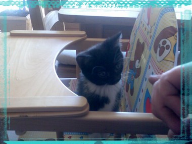 Dans la chaise de bb