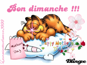 Bon dimanche