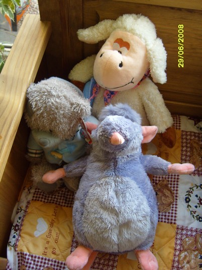 New tofs de b�b� Sandy