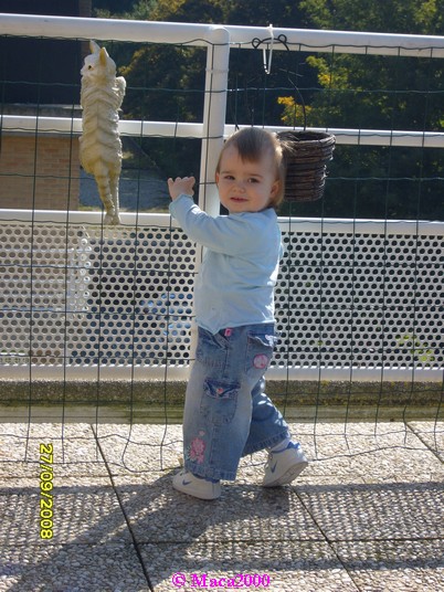 Apr�s midi sur notre terrasse