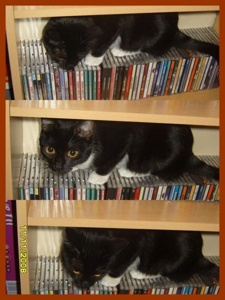 Pendant le bain Punaise fait des b�tises !