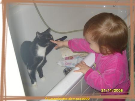 Le monde � l'envers