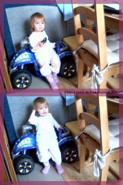 image du jour 02 d�cembre 2008